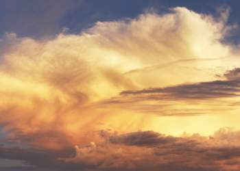 Nato allies unite over Trump’s Greenland threat